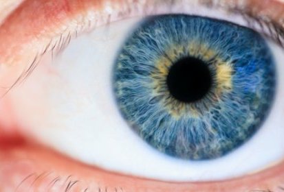 Photo de Michael Morse provenant de Pexels - Comme Narcisse